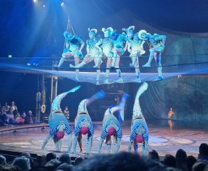 Kurios 2